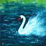 Swan