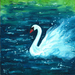 Swan