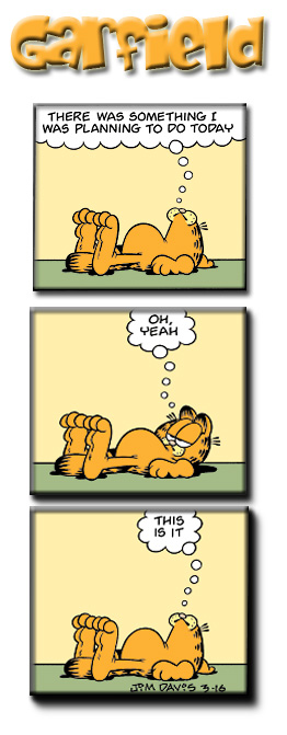 Garfield of the Month 004