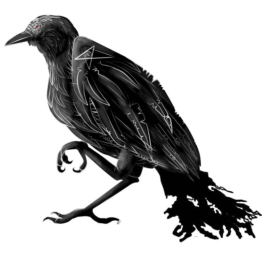 raven drawing speedrun!!! by scratchbeginner5669 on DeviantArt