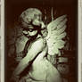 Angel Of The Nightvision