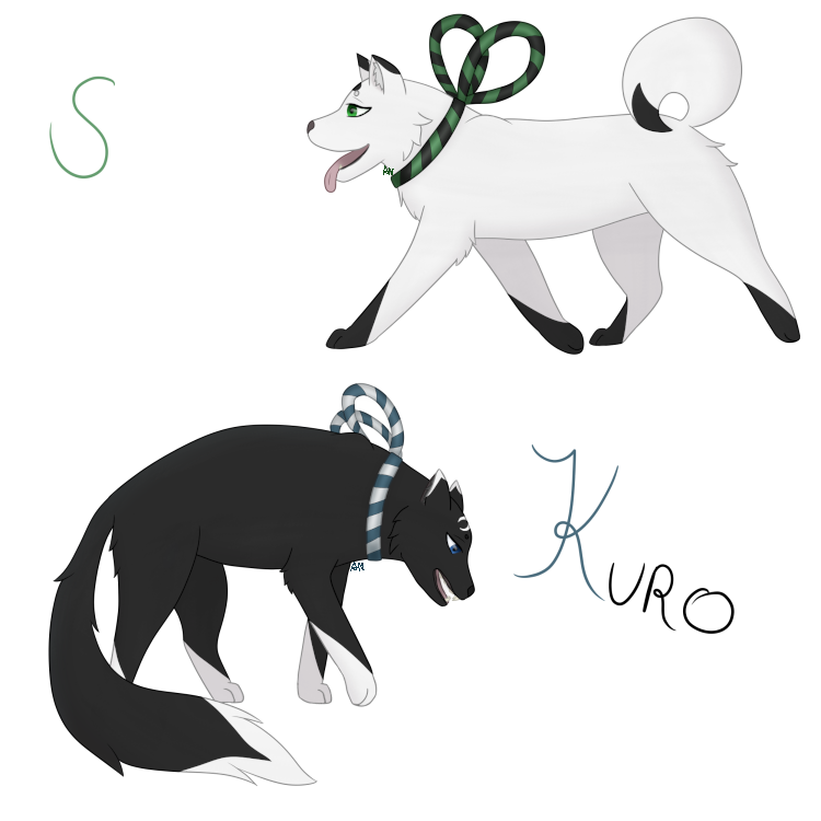 Kuro and Shiro by Kuronegane on DeviantArt
