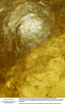 Stock - Gold Leaf Texture