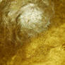 Stock - Gold Leaf Texture