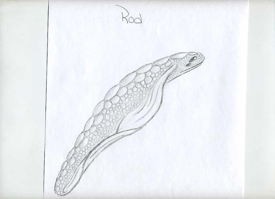 rod, cryptid by shift1085 on DeviantArt