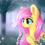 Fluttershy in the forest