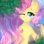 Fluttershy on the water