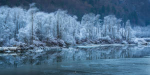 Winter Magic