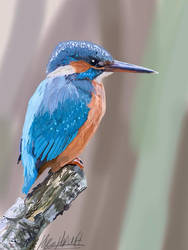 King Fisher