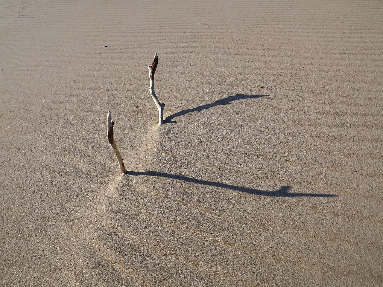 Sand Symphony 09 by TheRimantas on DeviantArt