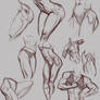 Anatomy Studies