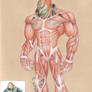 Ganondorf Muscle Study