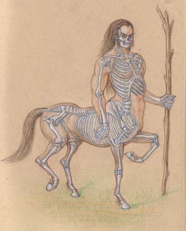 Skeletal Centaur