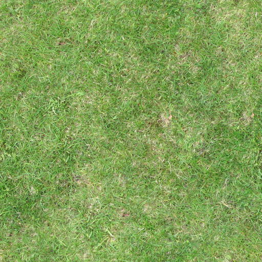las6 pbGrass 9 1 by las6