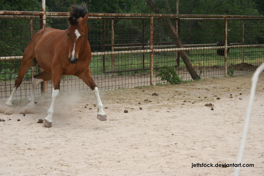 bay APHA 15