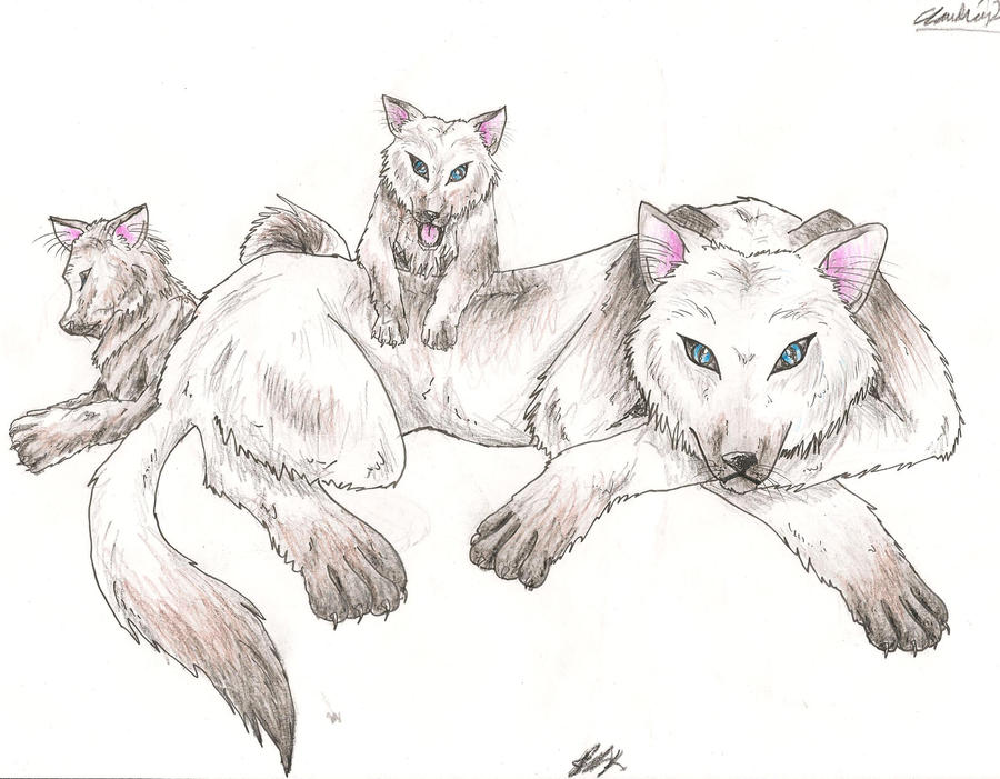 Cd Rudd Deviantart Wolfpack Wolf pack by Saidorak on DeviantArt