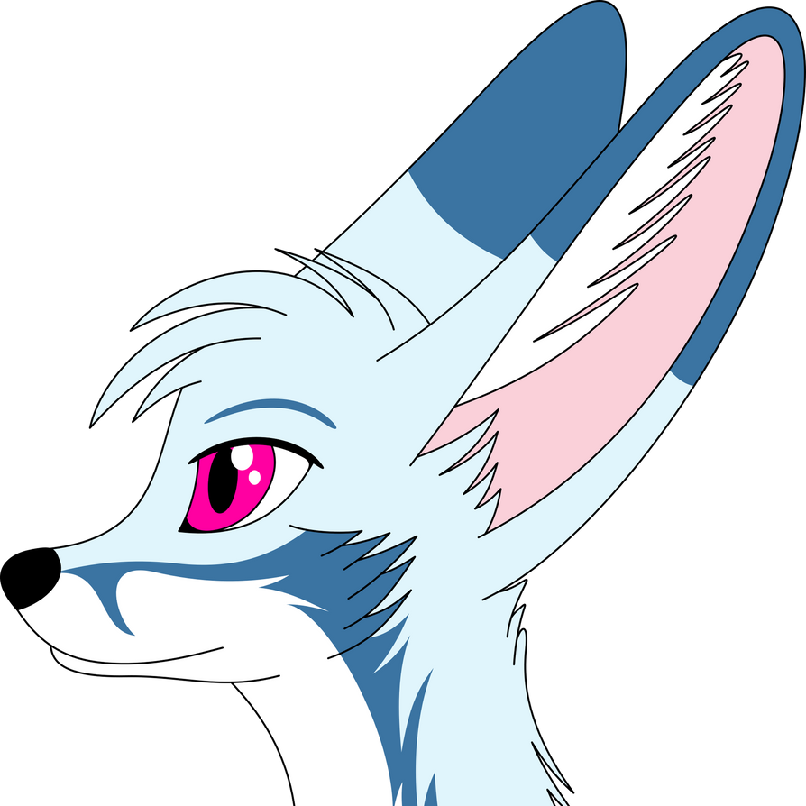 Racefox, the blue fennec fox