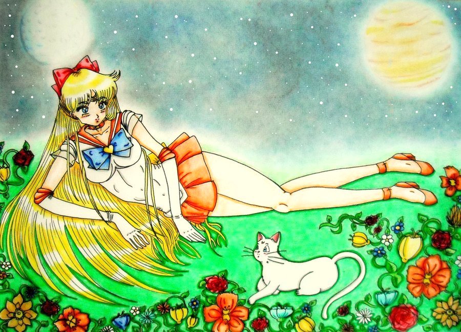 Sailor Venus and Artemis