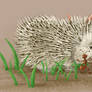 travel with hedgehog
