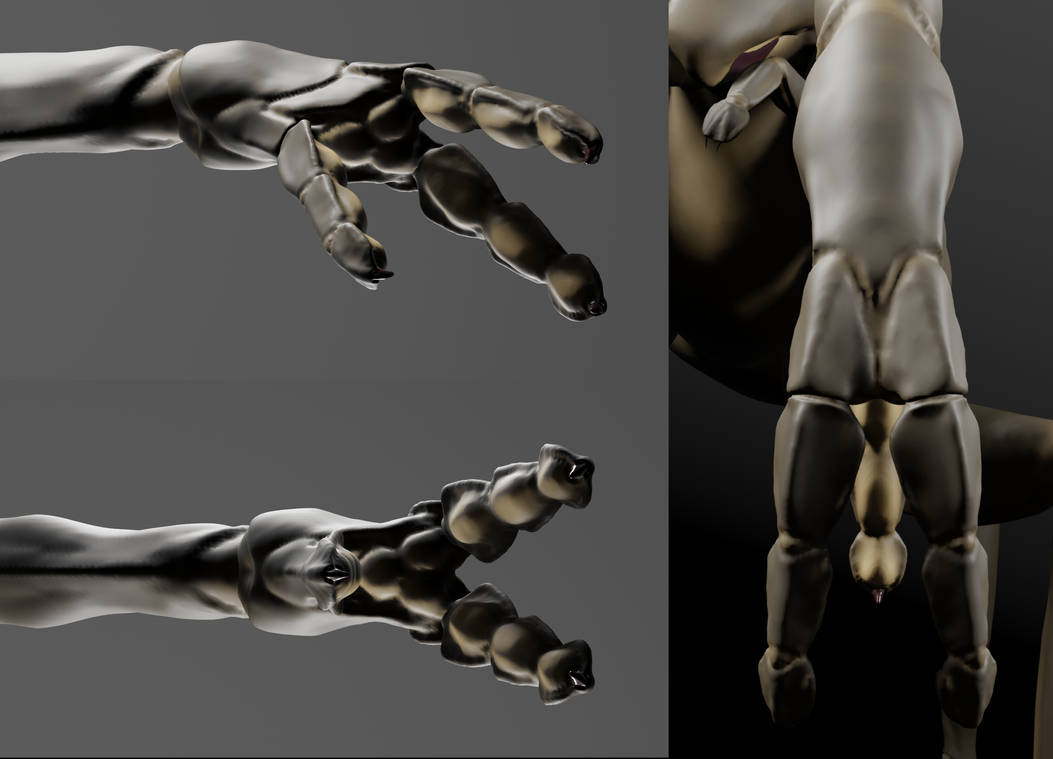 Spider Hand Detail by SinnersSAW on DeviantArt