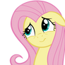 Fluttershy Umm Face