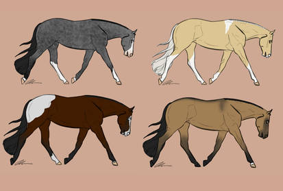 Quarter Horse Adopts : 2/4 Open