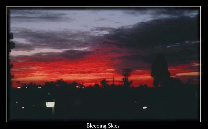 :: Bleeding Skies ::