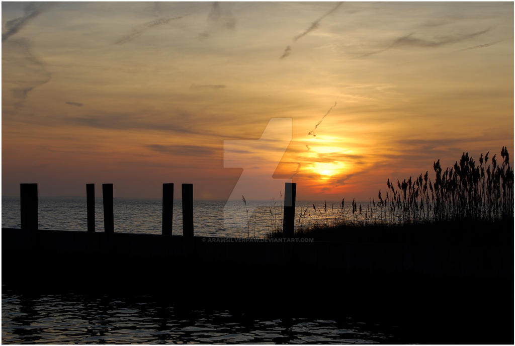 Shadowed Sunset