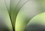 Green arcs by bwoman2008
