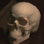 Still life study