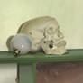 July 29th - Still Life