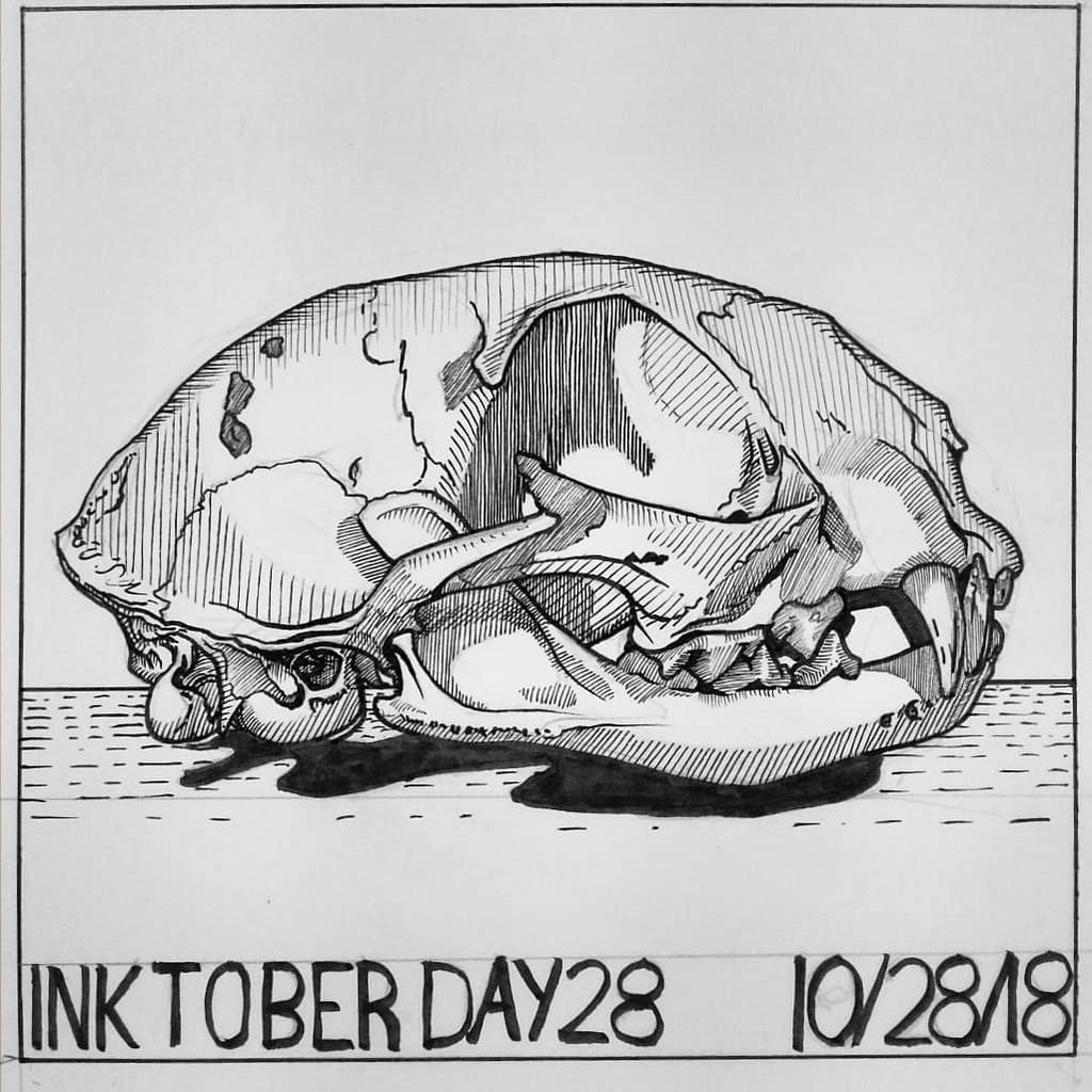 Day 28