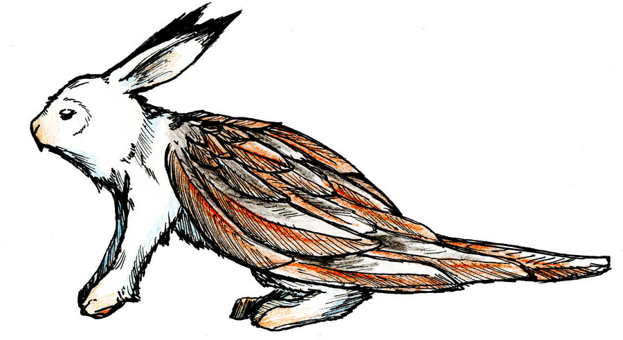 Skvadern Skvadern by Wavebird on DeviantArt