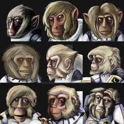 All the Lunar Monkeys!