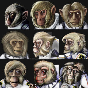 All the Lunar Monkeys!