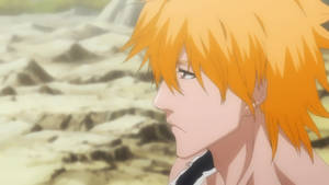 Bleach 309: Ichigo v2