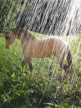 In The Rain