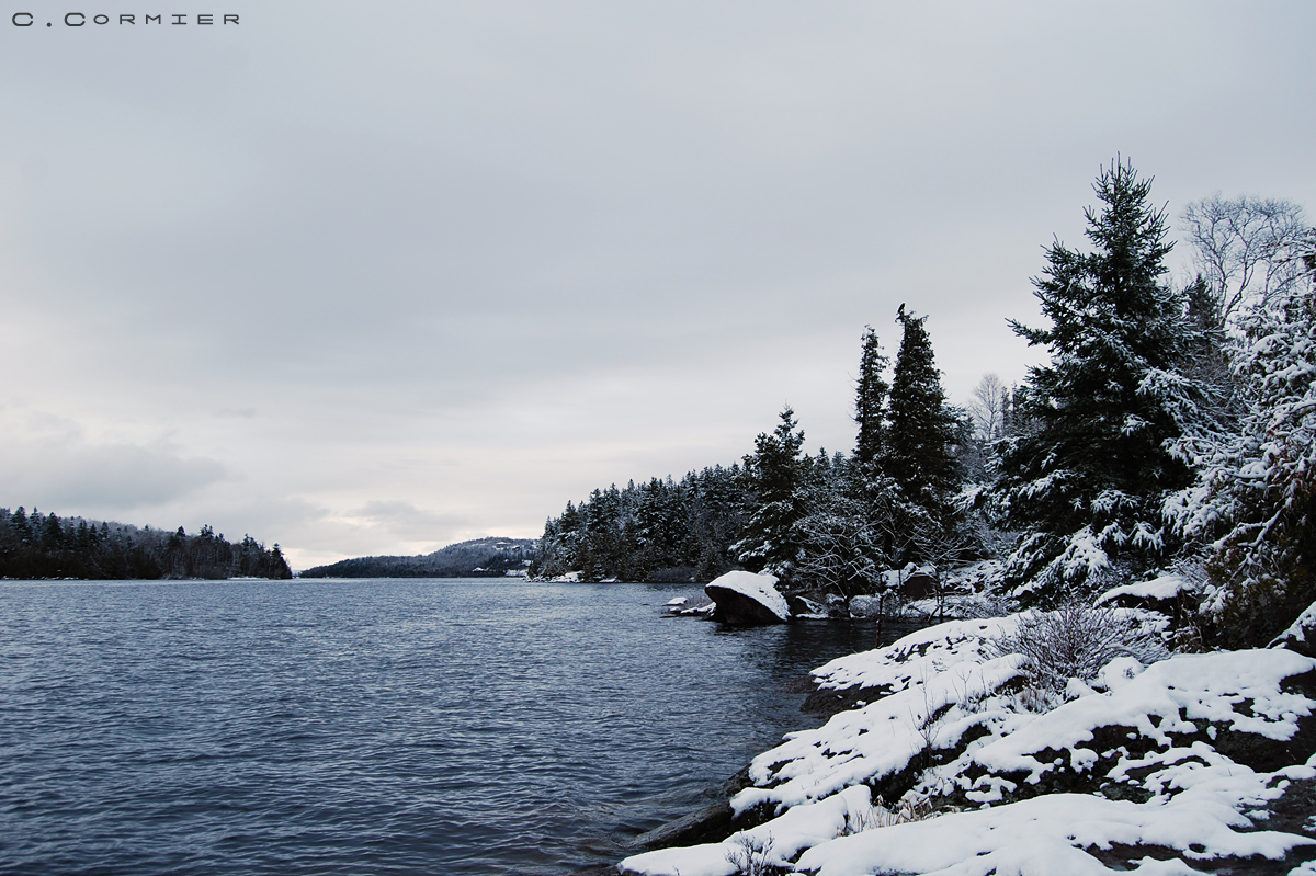 Winter Skies are Lonely