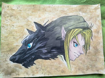 Link - The Legend of Zelda: Twilight Princess