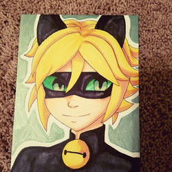 Chat Noir