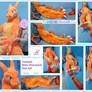 Giant Charizard plush