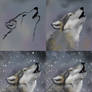 Wolf - Making-of