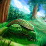 The Tortoise and The Hare