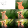 Fox Speedpainting - Making-of