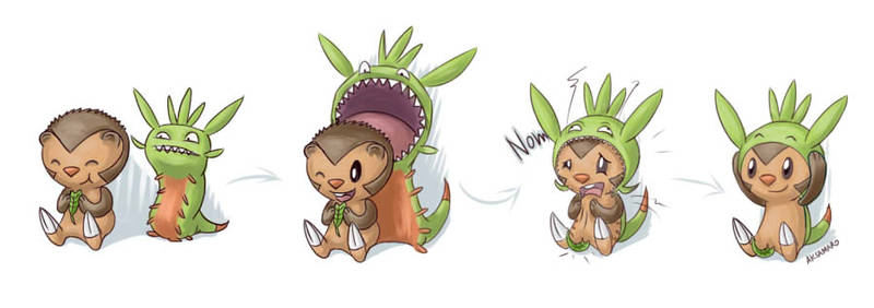 Chespin's new coat?!