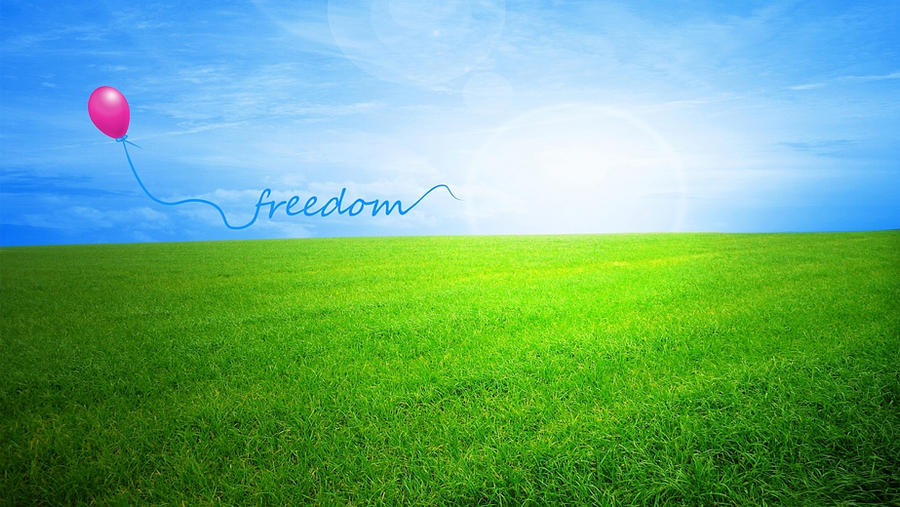 freedom wallpaper