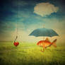 fishy love