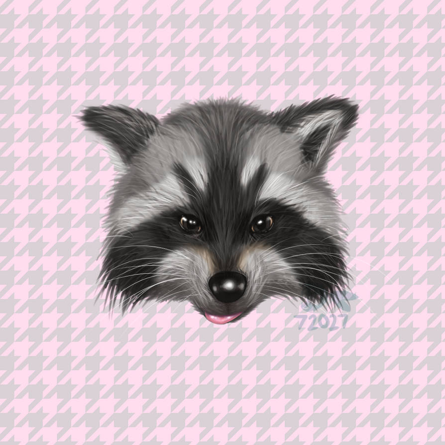 Raccoon by TheDixieTrail on DeviantArt