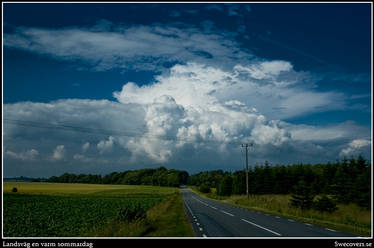 Countryroad a hot summerday