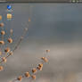 11-21-12 Ubuntu Desktop